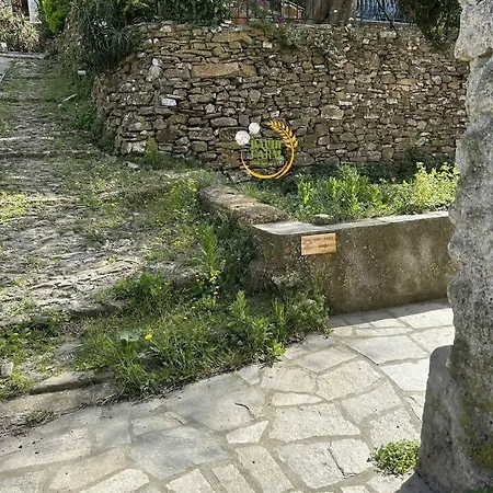 Alba Dachi Farm Andora