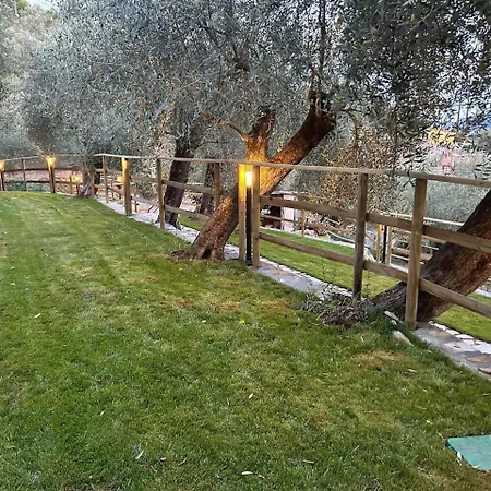 Alba Dachi Farm *