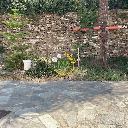 Alba Dachi Farm *