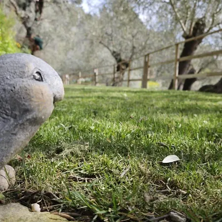 דירה Alba Dachi Farm Marina dʼAndora