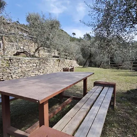 Alba Dachi Farm *