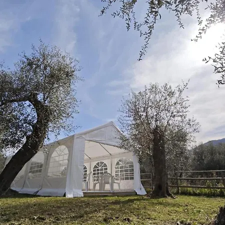Alba Dachifarm * Marina dʼAndora