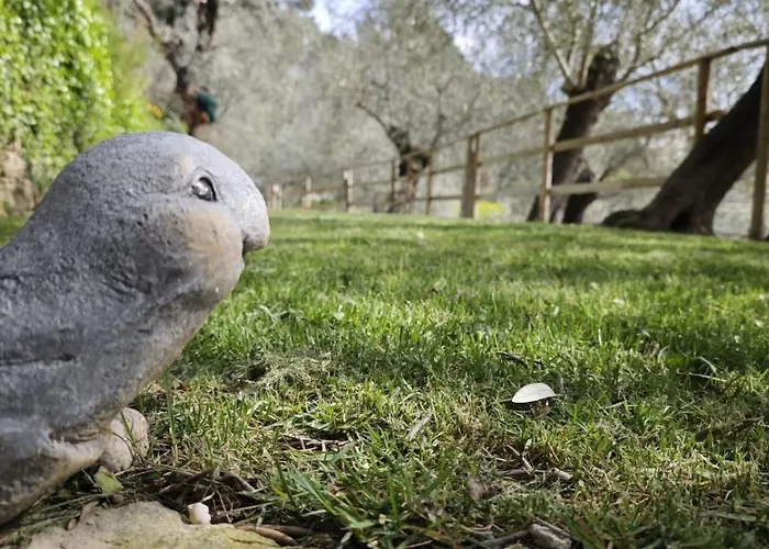 Lejlighed Alba Dachi Farm Marina dʼAndora