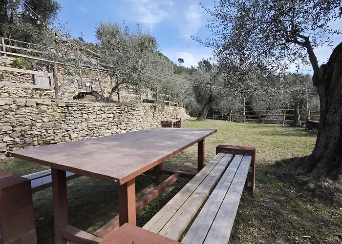 Alba Dachi Farm *
